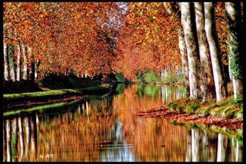 Casa Du Bassin Bed and Breakfast Castelnaudary Exterior foto